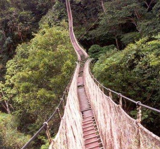 last-photo06
