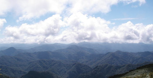 Shirakamisanchikakushin