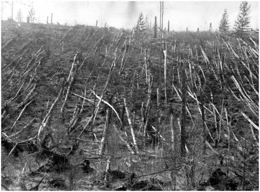 tunguska1