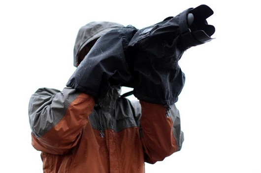 hydrophobia-01-26-2010