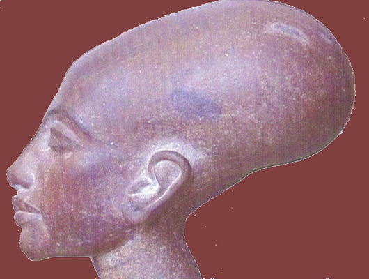 222nefertitilonghead1