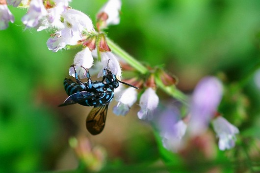 imc_a12db48be32aad756801da707cfa9bf2be95a0d9