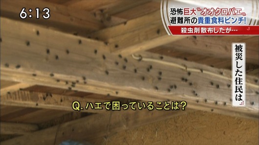 sukima138774