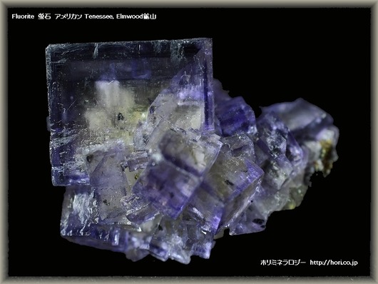 fluoriteelmwood