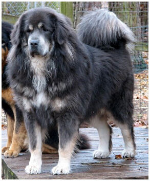 imc_c32bf76db8dd13025157c9e77e9088930e0d4f52