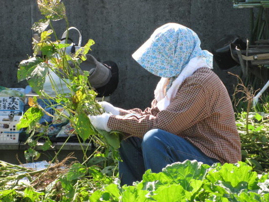 125638749359216222826