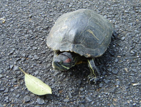 080903A1A1A5DFA5C9A5EAA5ACA5E1