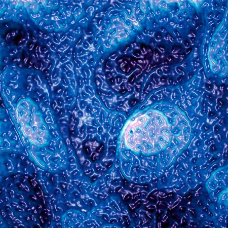 best-science-pictures-2010-scivis-molecules_32348_big