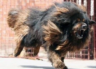 imc_a497cf48c2709a8120608c7be68f89a845333e99