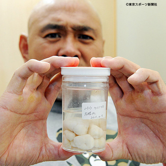 20100409-NANKOTSU