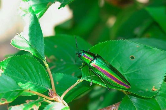 imc_c65ce56426803684f5f6e3ed31aa74a98cb51d86