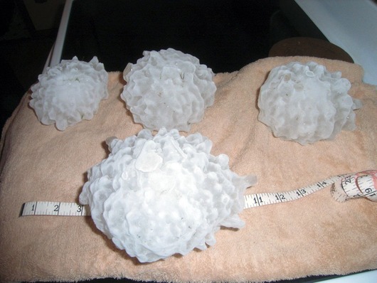 00_hail2