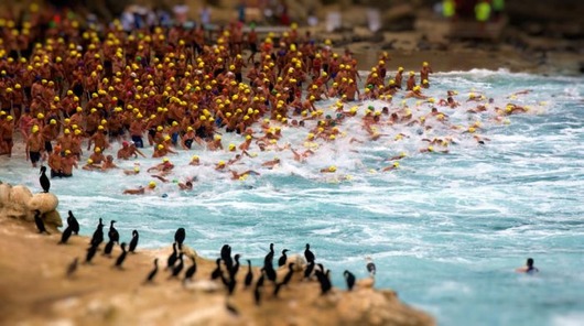 national_geographic_photo_contest_09