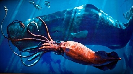 sperm_whale_vs_giant_squid-111-thumbnail2