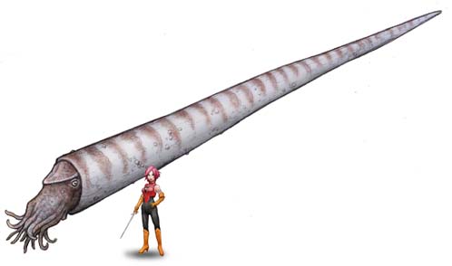 kamerokerasu