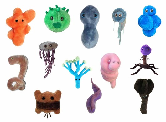 giant-microbes