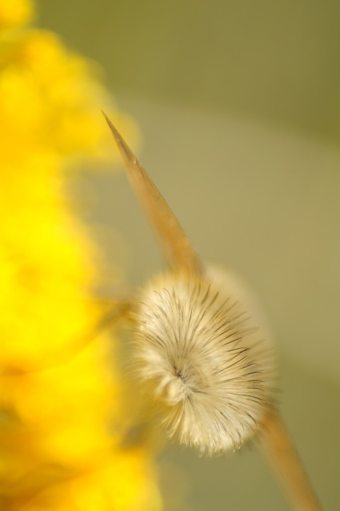 957e7c05