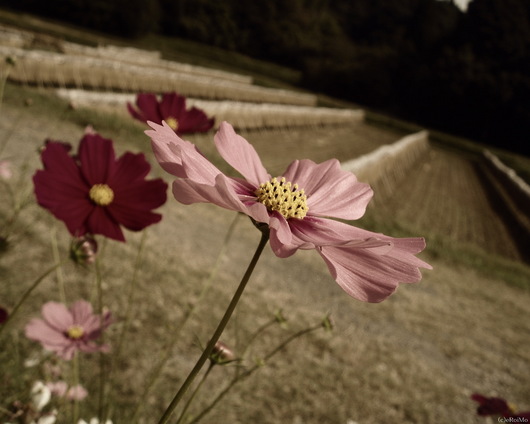 018
