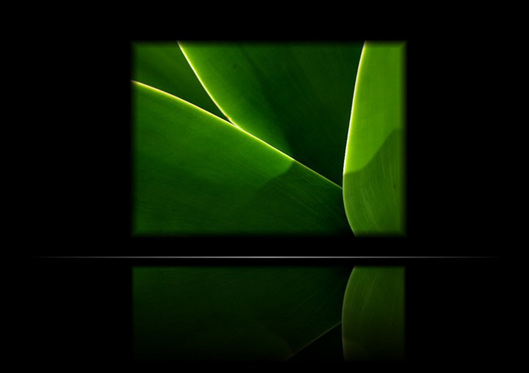 006