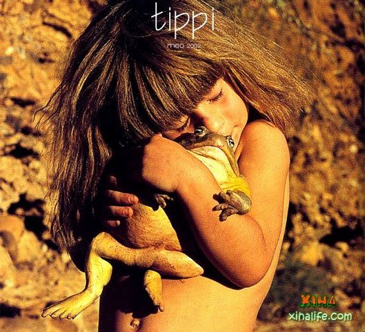 tippi