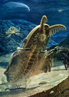 anomalocaris