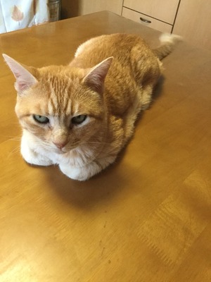 2017-08-29-10-40-37