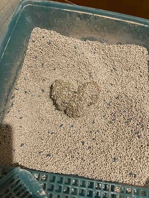 A8707A2D-4E63-4AD6-A944-B4B26598403D