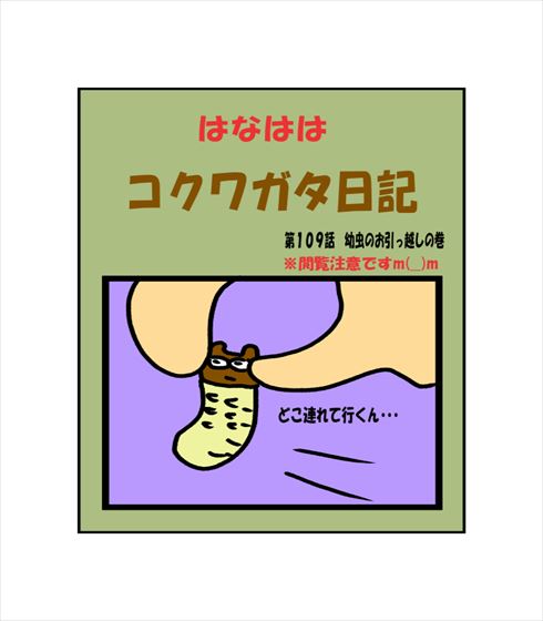 0b63d49a.jpg