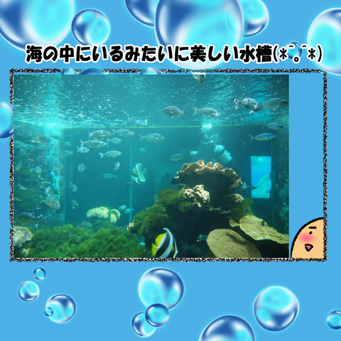 和歌山⑨_004