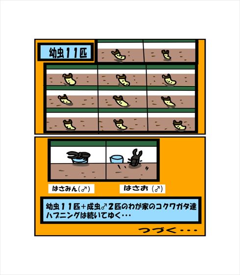 132dbe4e.jpg