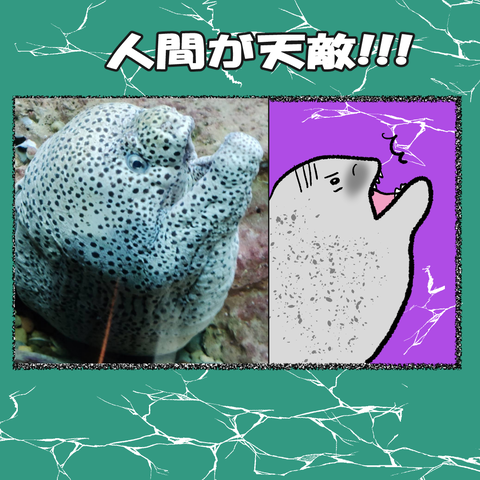 和歌山⑩_003