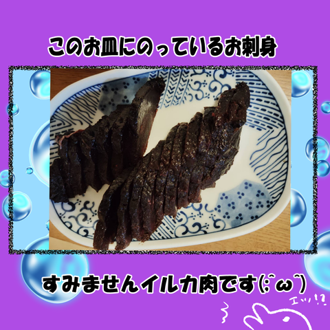 和歌山⑫_006