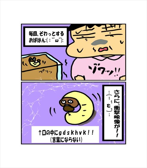 2b1f9db0.jpg