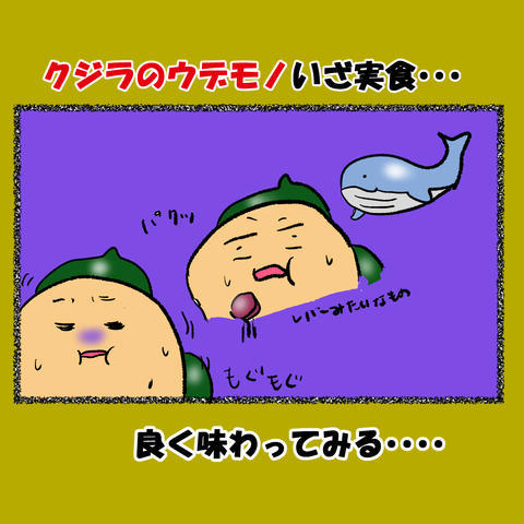 和歌山⑧_007