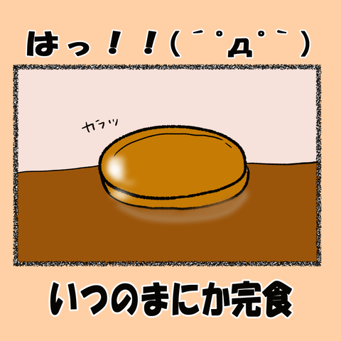 カレー④_003