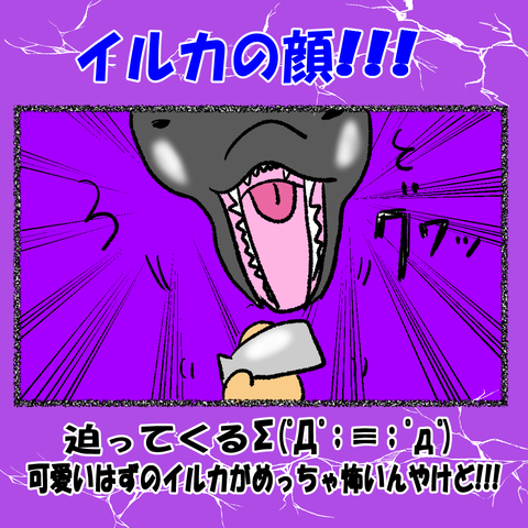 和歌山③_007