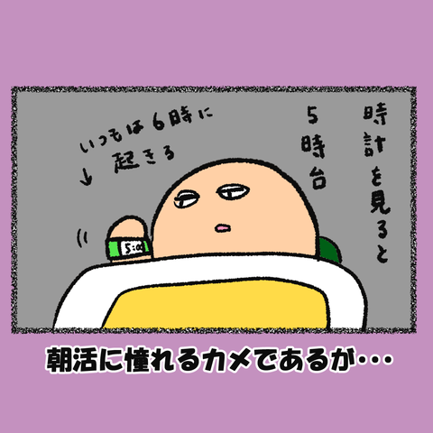 カメ日和②_002