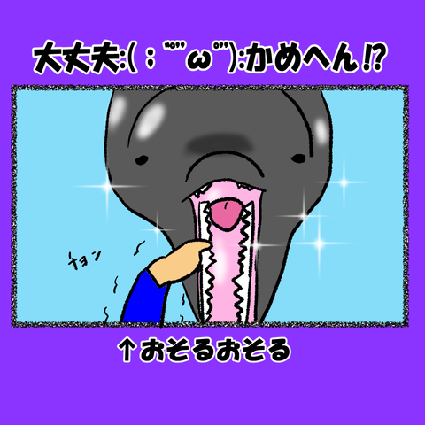 和歌山③_004