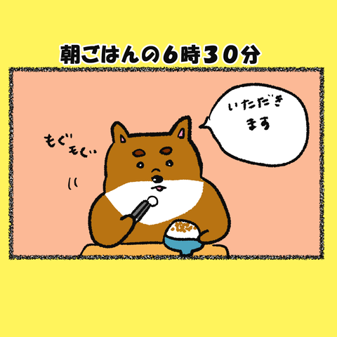 カメ日和③_003