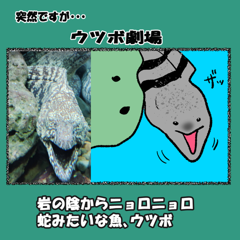 和歌山⑩_001