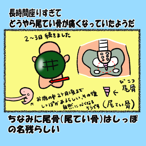占い①_004