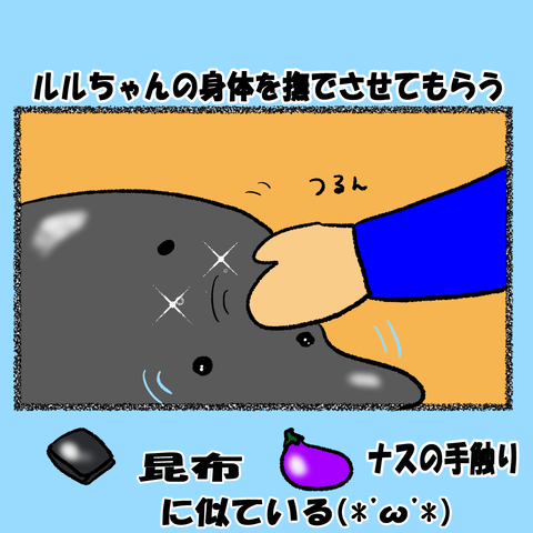 和歌山③_002
