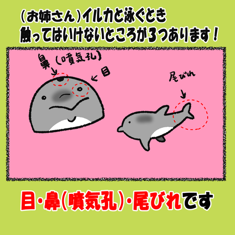 和歌山⑤_003