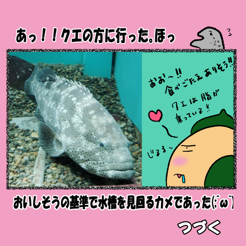 和歌山⑩_006