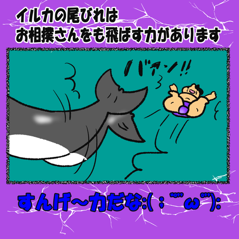和歌山⑤_004