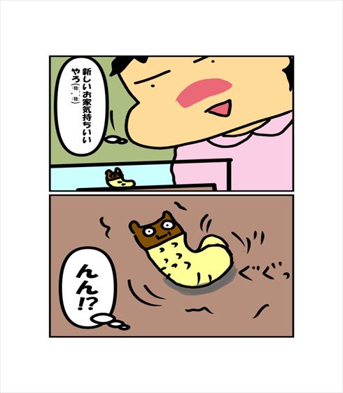 b32e4f9b.jpg