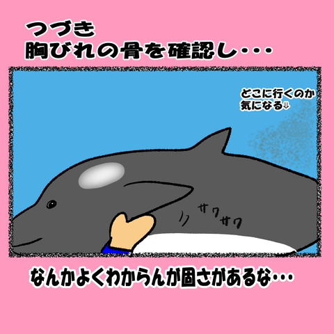 和歌山⑤_001