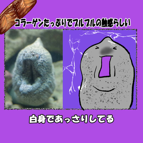 和歌山⑩_004