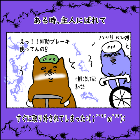 おばランナー③_009