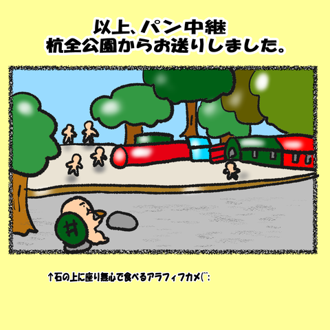 カメ日和⑤_004